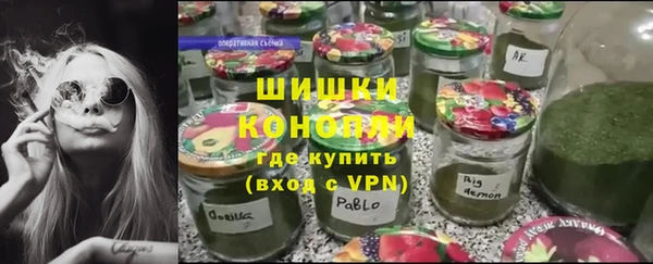 шишки Белоозёрский